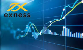Understanding Exness Backcom Features and Benefits for Traders Understanding Exness Backcom Features and Benefits for Traders
