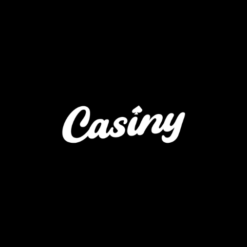 Understanding Casiny Payment Simplifying Online Transactions Understanding Casiny Payment Simplifying Online Transactions