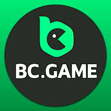 Kyc BC.Game USA Understanding the Importance of Know Your Customer Regulations